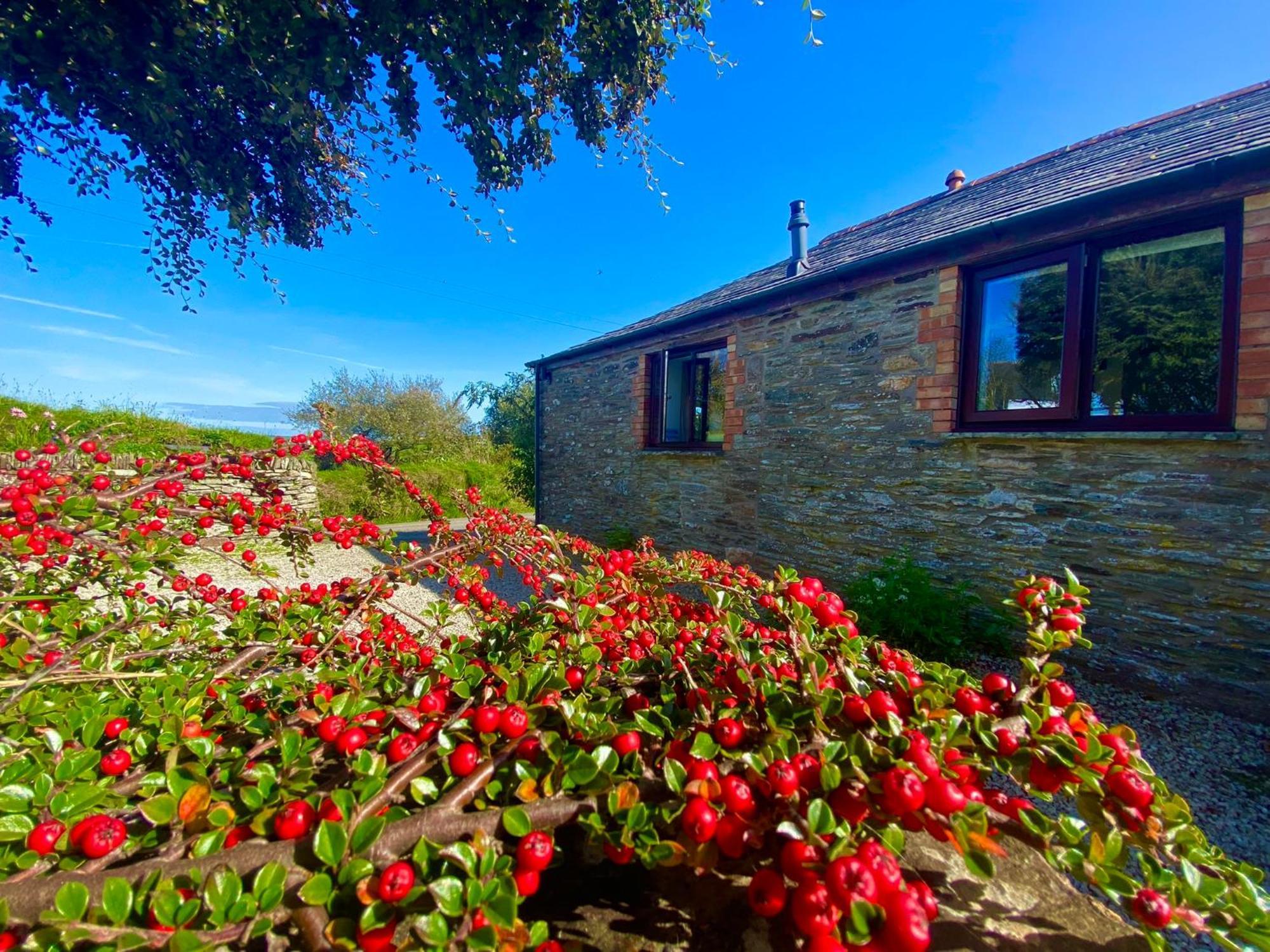 בוסקאסל Polrunny Farm Elderberry Cottage With Sea View מראה חיצוני תמונה
